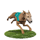 線上娛樂城評價娛樂城白金賽狗 線上娛樂城評價娛樂城白金賽狗